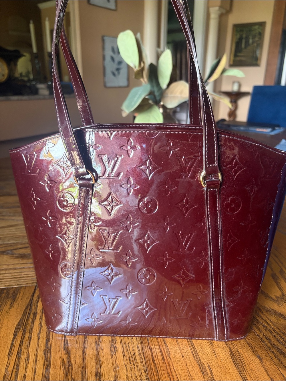 Louis Vuitton LV Monogram Avalon MM Leather Tote